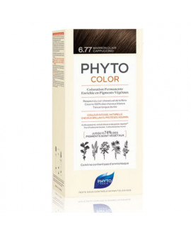 Phyto Color Colorazione Permanente  6.77 Marrone Chiaro Cappuccino